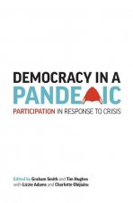 Democracy in a Pandemic