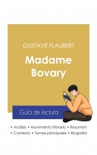 Guia de lectura Madame Bovary de Gustave Flaubert (analisis literario de referencia y resumen completo)