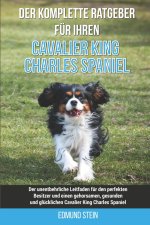 Der komplette Ratgeber fur Ihren Cavalier King Charles Spaniel