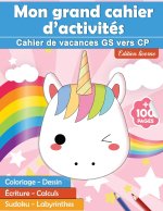 Mon grand cahier d'activites