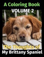Thoughts of My Brittany Spaniel