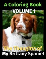 Thoughts of My Brittany Spaniel