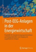 Post-Eeg-Anlagen in Der Energiewirtschaft