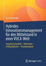 Hybrides Innovationsmanagement Fur Den Mittelstand in Einer Vuca-Welt