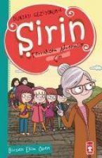 Sirin Terrakotta Adrenalin Cin