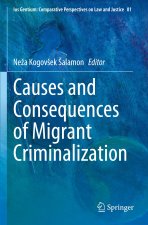 Causes and Consequences of Migrant Criminalization