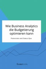 Wie Business Analytics die Budgetierung optimieren kann. Potenziale und Status Quo