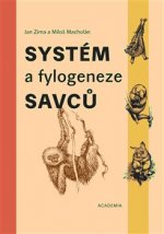 Systém a fylogeneze savců