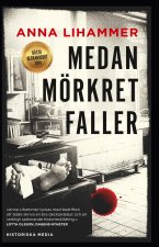 Medan mörkret faller
