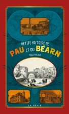 Petite Histoire De Pau Et Du Bearn