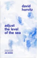 David Horvitz Adjust the Level of the Sea /anglais