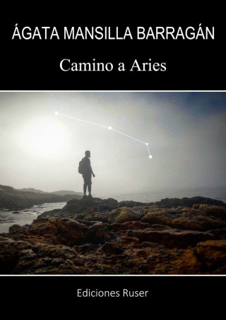 Camino a Aries