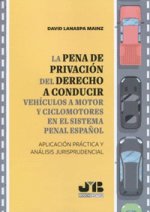 PENA DE PRIVACION DEL DERECHO A CONDUCIR VEHICULOS A MOTOR Y CICL