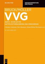 100-124 Vvg