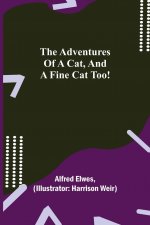 Adventures of a Cat, and a Fine Cat Too!