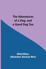 Adventures of a Dog, and a Good Dog Too