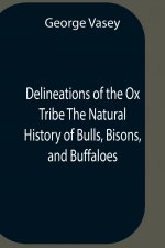 Delineations Of The Ox Tribe The Natural History Of Bulls, Bisons, And Buffaloes. Exhibiting All The Known Species And The More Remarkable Varieties O
