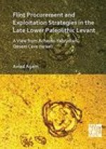 Flint Procurement and Exploitation Strategies in the Late Lower Paleolithic Levant