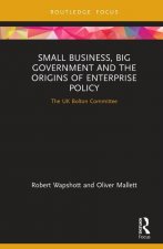 Small Business, Big Government and the Origins of Enterprise Policy