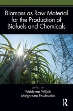 Biomass as Raw Material for the Production of Biofuels and Chemicals