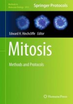 Mitosis