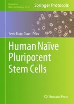 Human Na?ve Pluripotent Stem Cells