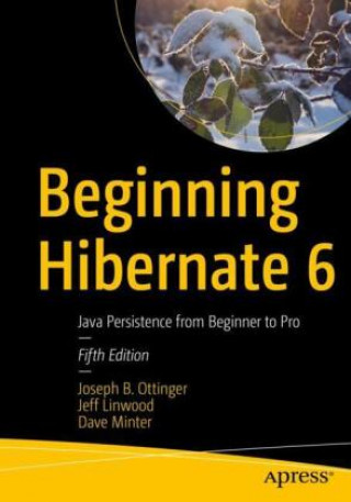 Beginning Hibernate 6