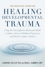 Practical Guide for Healing Developmental Trauma