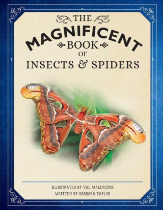 Magnificent Book of Insects and Spiders