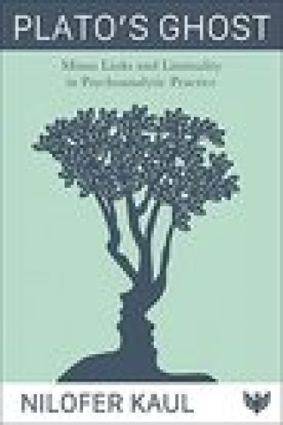 Plato's Ghost