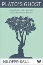 Plato's Ghost