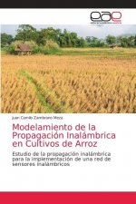 Modelamiento de la Propagacion Inalambrica en Cultivos de Arroz