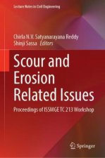 Scour- and Erosion-Related Issues