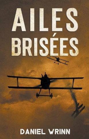Ailes Brisees