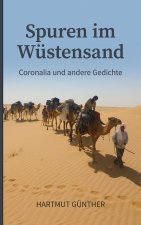 Spuren im Wustensand