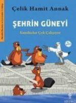 Sehrin Güneyi