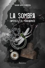 LA SOMBRA. CAPITULO I: EL PSIQUIATRICO