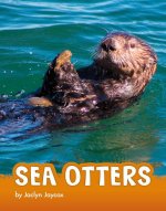 Sea Otters