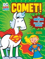 Comet!: The Origin of Supergirl's Horse