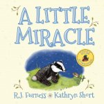 Little Miracle
