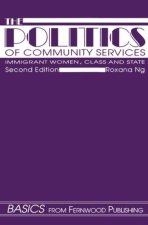 Politics of Community Services (second edition)