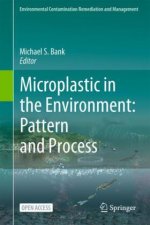 Microplastic in the Environment: Pattern and Process