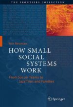 How Small Social Systems Work