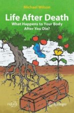 Life After Death: What Happens to Your Body After You Die?