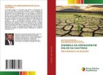 Dinamica Da Drenagem Em Solos Da Caatinga
