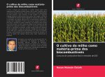 O cultivo do milho como matéria-prima dos biocombustíveis