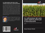 La coltivazione del mais come materia prima per il biocarburante
