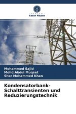 Kondensatorbank-Schalttransienten und Reduzierungstechnik