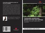 Canavalia ensiformis grown on iron ore tailings