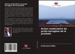 Action moléculaire du proto-oncog?ne de la prostate